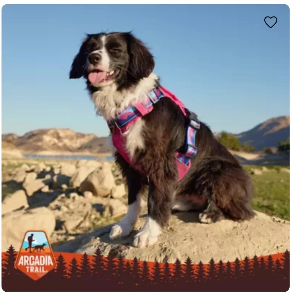 New Arcadia Trail® Quick Dry Dog Orange Harness S
